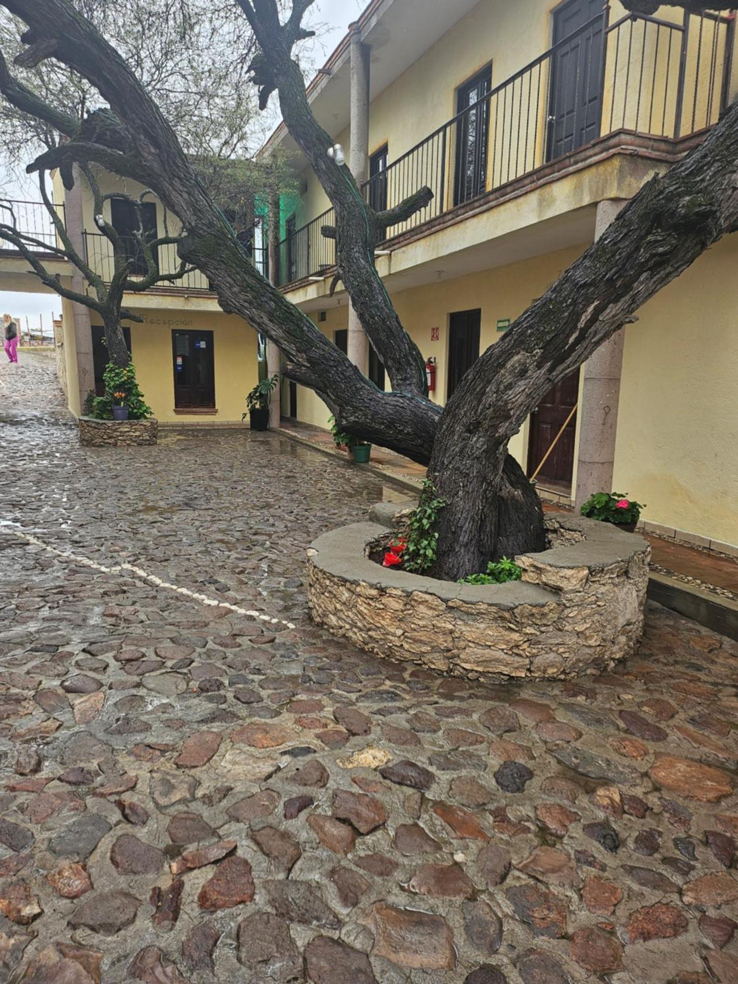 Hotel Villa Aurora برنال المظهر الخارجي الصورة